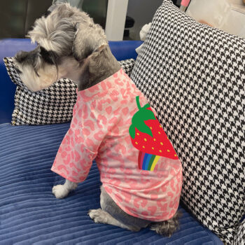 Dog Tshirt Pawcci - 2026 - Puppy Streetwear Shop