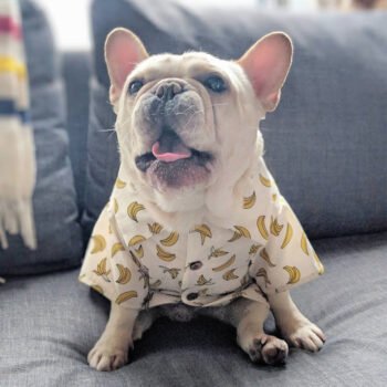 Dog Shirt - 2025 - Puppy Streetwear Shop