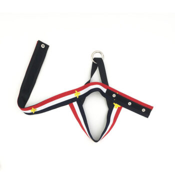 Dog Collar Harness Pawcci - 2026 - Puppy Streetwear Shop