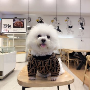 Dog Sweater Fendi - 2025 - Puppy Streetwear Shop