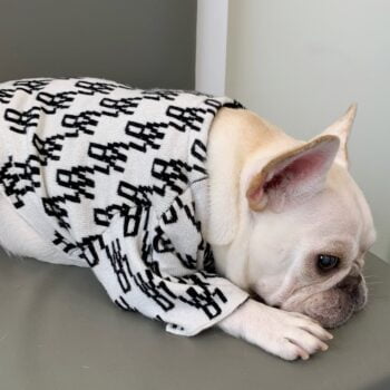 Dog Sweater - 2025 - Puppy Streetwear Shop Dog Sweater - 2025 - Puppy Streetwear Shop