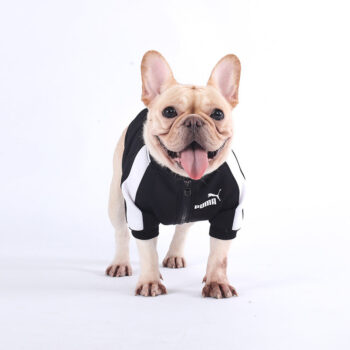 Dog Jacket Puma - 2025 - Puppy Streetwear Shop