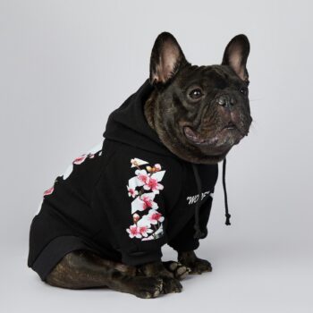 Dog Hoodies Woof - 2025 - Puppy Streetwear Shop