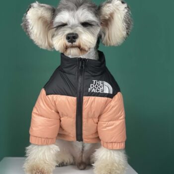 Dog Jacket The Dog Face - 2025 - Puppy Streetwear Shop Dog Jacket The Dog Face - 2025 - Puppy Streetwear Shop