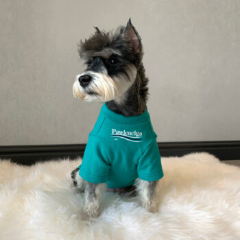 Dog Tshirt Balenciaga - 2026 - Puppy Streetwear Shop