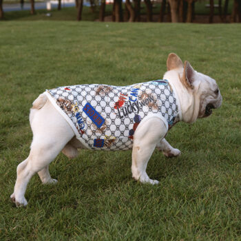 Dog Vest Pawcci - 2025 - Puppy Streetwear Shop