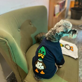 Dog Tshirt Louis Pawtton - 2026 - Puppy Streetwear Shop