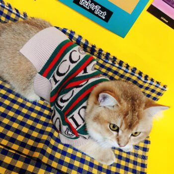 Dog Sweater Pawcci - 2025 - Puppy Streetwear Shop