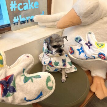 Dog Hoodies Louis Pawtton - 2025 - Puppy Streetwear Shop