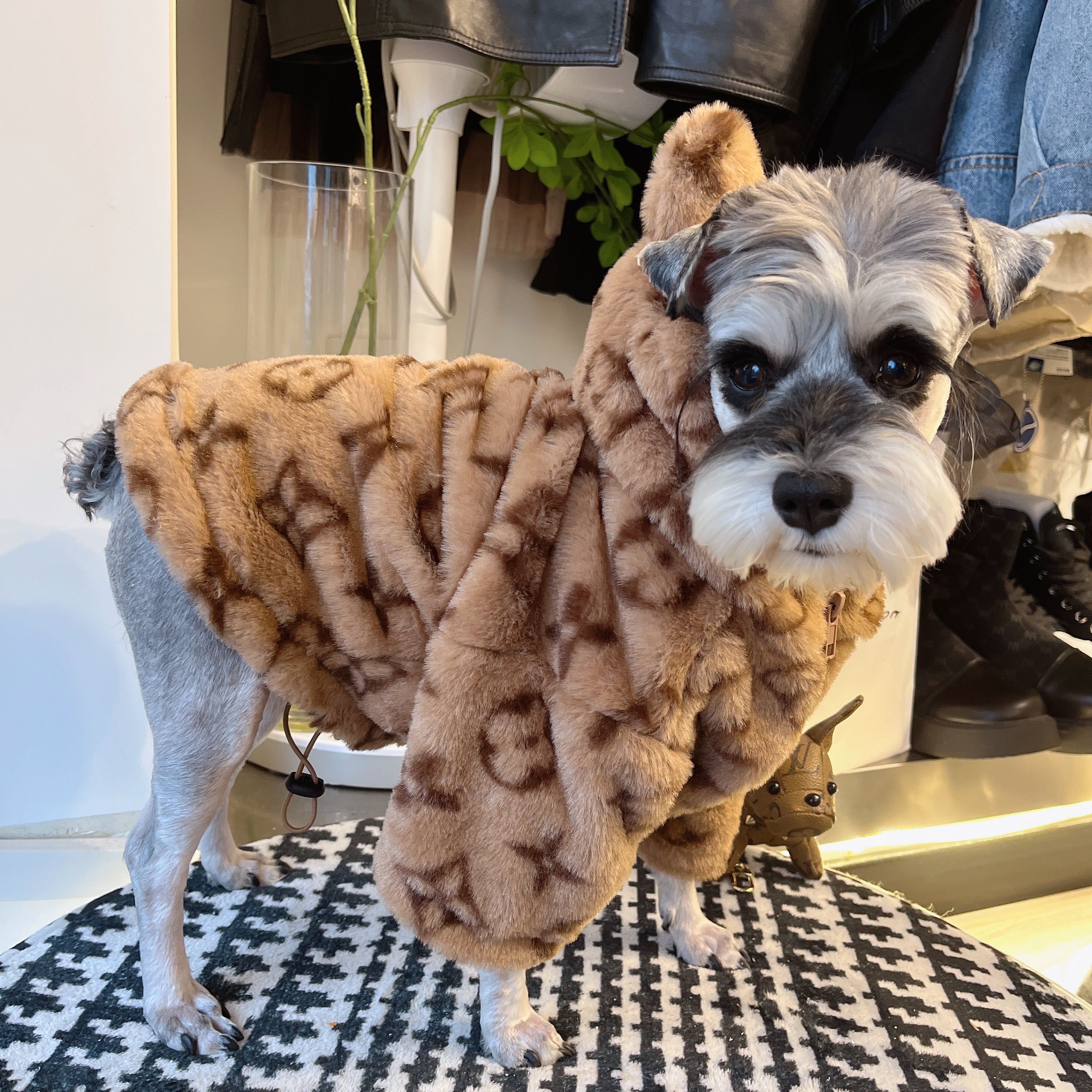 Designer Dog Hoodies Louis Vuitton - 2024 - Puppy Streetwear Shop