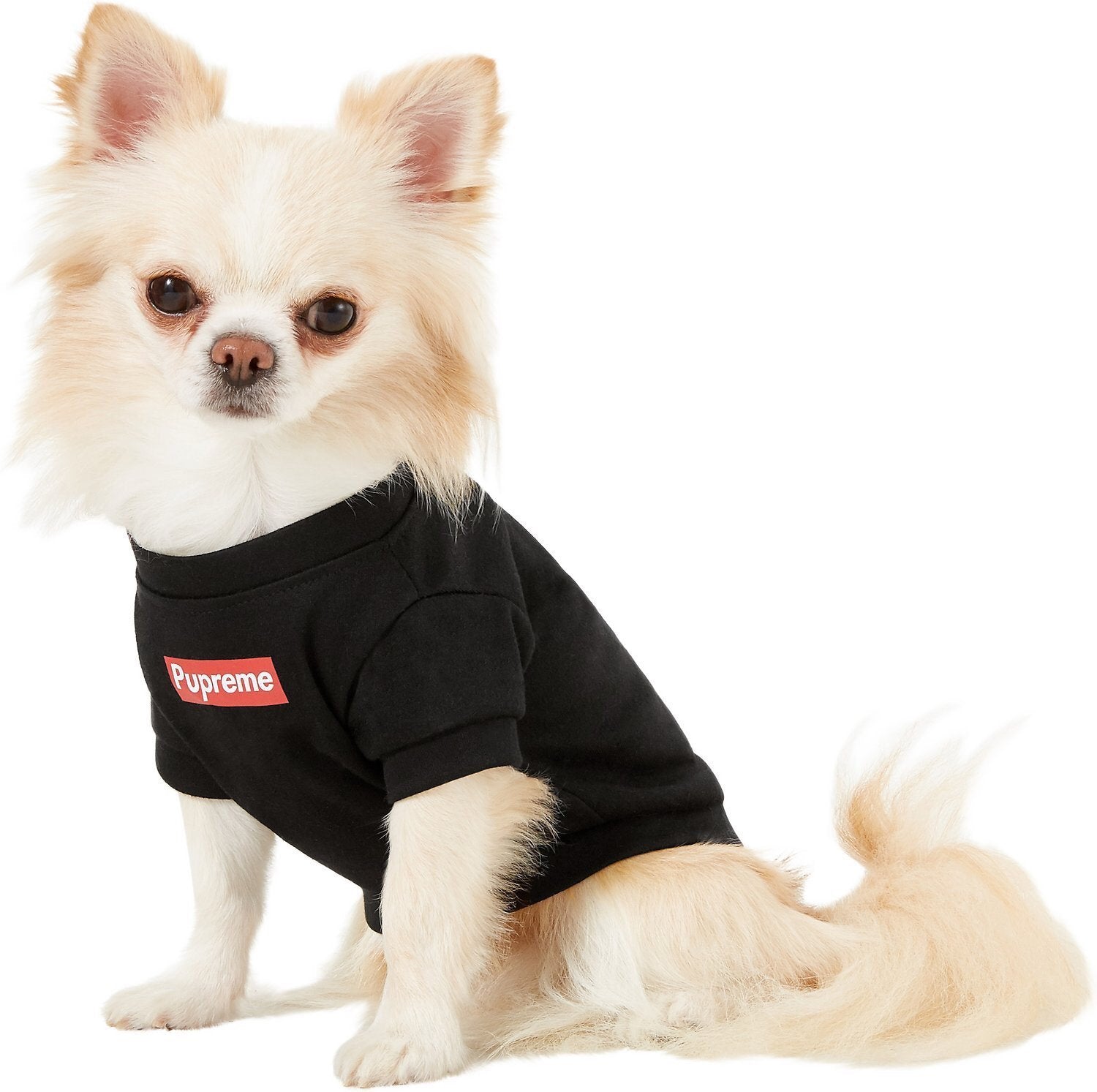 Designer Dog Tshirt Supreme - 2023 - Puppy Streetwear Shop