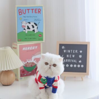 Dog Sweater CDG - 2025 - Puppy Streetwear Shop