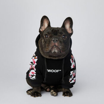 Dog Hoodies Woof - 2025 - Puppy Streetwear Shop