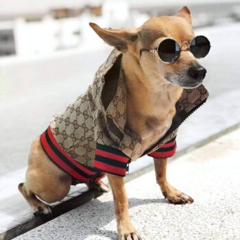 Dog Jacket Pawcci - 2025 - Puppy Streetwear Shop