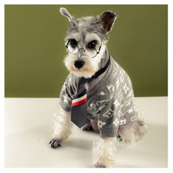 Dog Sweater Louis Pawtton - 2026 - Puppy Streetwear Shop