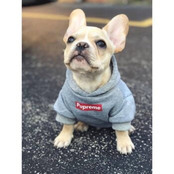 Dog Hoodies Supreme - 2026 - Puppy Streetwear Shop