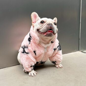 Dog Jacket Celine - 2025 - Puppy Streetwear Shop