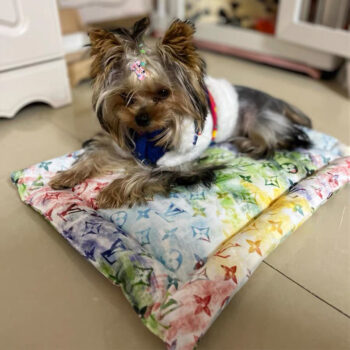 Dog Bed Louis Pawtton - 2025 - Puppy Streetwear Shop