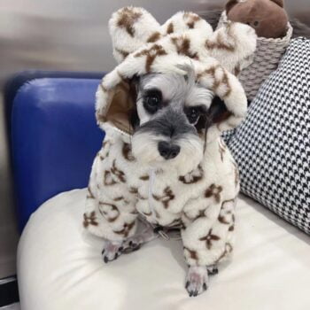 Dog Hoodies Louis Pawtton - 2025 - Puppy Streetwear Shop Dog Hoodies Louis Pawtton - 2025 - Puppy Streetwear Shop