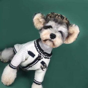 Dog Sweater Chanel - 2025 - Puppy Streetwear Shop