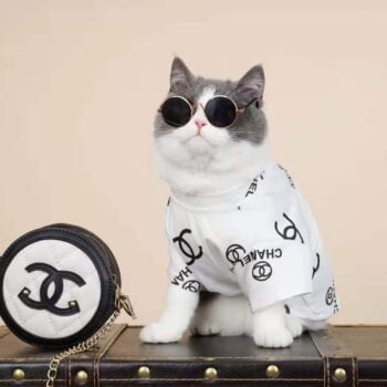 Dog Tshirt Chanel - 2026 - Puppy Streetwear Shop