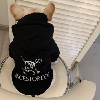 Dog Jacket - 2025 - Puppy Streetwear Shop