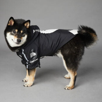Dog Hoodies The North Face - 2025 - Puppy Streetwear Shop