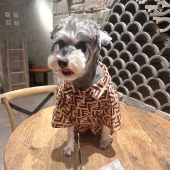 Dog Shirt Fendi - 2025 - Puppy Streetwear Shop