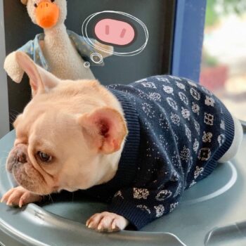 Dog Sweater Louis Pawtton - 2025 - Puppy Streetwear Shop