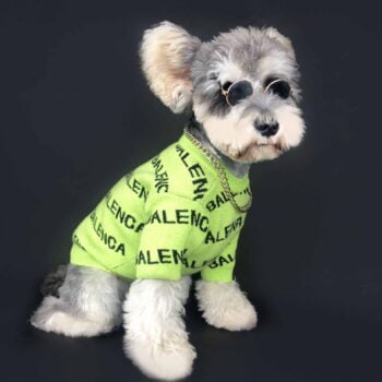 Dog Sweater Balenciaga - 2025 - Puppy Streetwear Shop