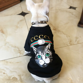 Dog Sweatshirt Pawcci - 2025 - Puppy Streetwear Shop