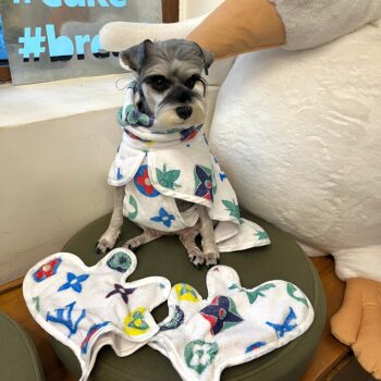 Dog Hoodies Louis Pawtton - 2025 - Puppy Streetwear Shop