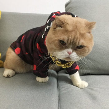 Dog Hoodies Bape - 2025 - Puppy Streetwear Shop