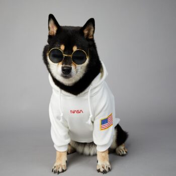 Dog Hoodies Nasa - 2025 - Puppy Streetwear Shop