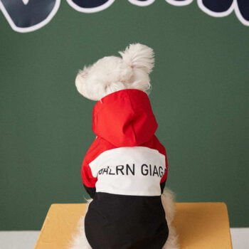 Dog Jacket Balenciaga - 2025 - Puppy Streetwear Shop Dog Jacket Balenciaga - 2025 - Puppy Streetwear Shop