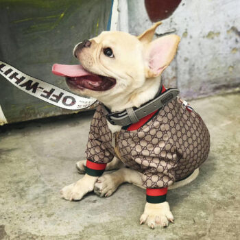 Dog Jacket Pawcci - 2026 - Puppy Streetwear Shop