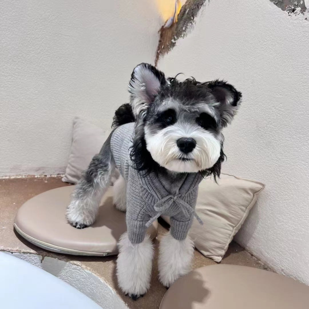 Designer Dog Sweater Celine - 2023 - Puppy Streetwear Shop