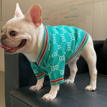 Dog Sweater Pawcci - 2025 - Puppy Streetwear Shop