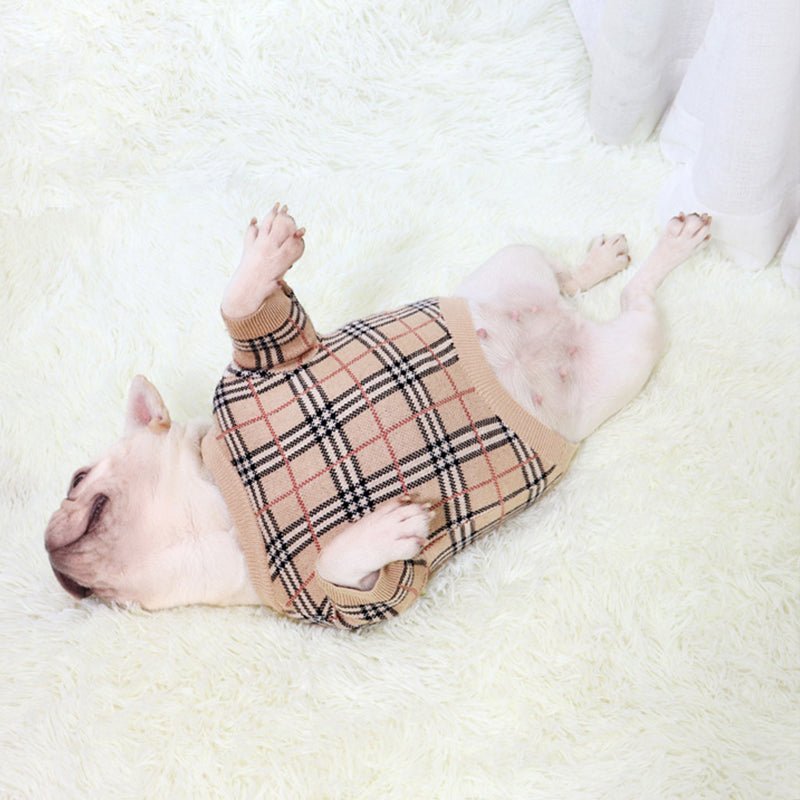 Designer Dog Sweater Burberry - 2023 - Puppy Streetwear Shop