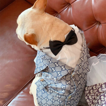 Dog Jacket Pawcci - 2025 - Puppy Streetwear Shop