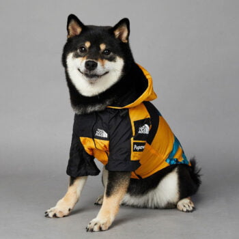 Dog Hoodies The North Face - 2025 - Puppy Streetwear Shop