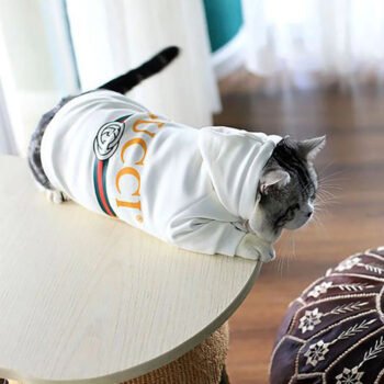 Dog Hoodies Pawcci - 2025 - Puppy Streetwear Shop