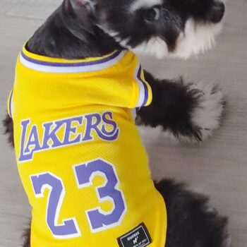 Dog Vest Basketball - 2025 - Puppy Streetwear Shop