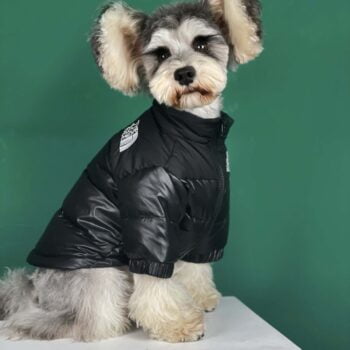 Dog Jacket The Dog Face - 2025 - Puppy Streetwear Shop Dog Jacket The Dog Face - 2025 - Puppy Streetwear Shop