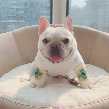 Dog Sweater Louis Pawtton - 2026 - Puppy Streetwear Shop