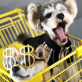 Dog Jacket Pawcci - 2025 - Puppy Streetwear Shop