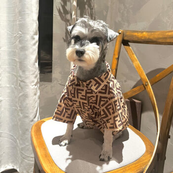 Dog Shirt Fendi - 2025 - Puppy Streetwear Shop