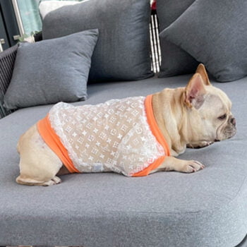 Dog Jacket Louis Pawtton - 2025 - Puppy Streetwear Shop