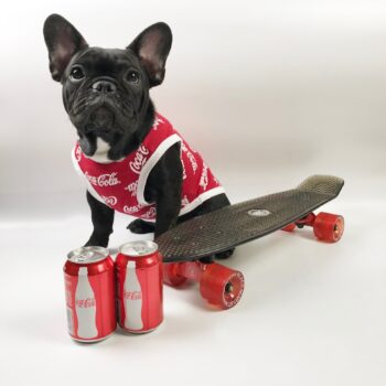 Dog Vest Coca Cola - 2025 - Puppy Streetwear Shop