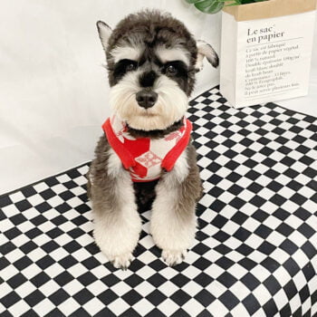 Dog Sweater Louis Pawtton - 2025 - Puppy Streetwear Shop